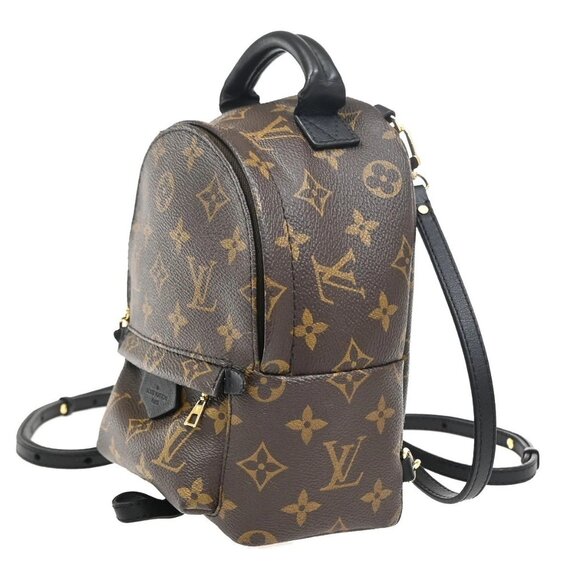 LOUIS VUITTON Palm Spring PM Backpack Bag Monogram Leather Brown M41560 27ZA122 main image 15